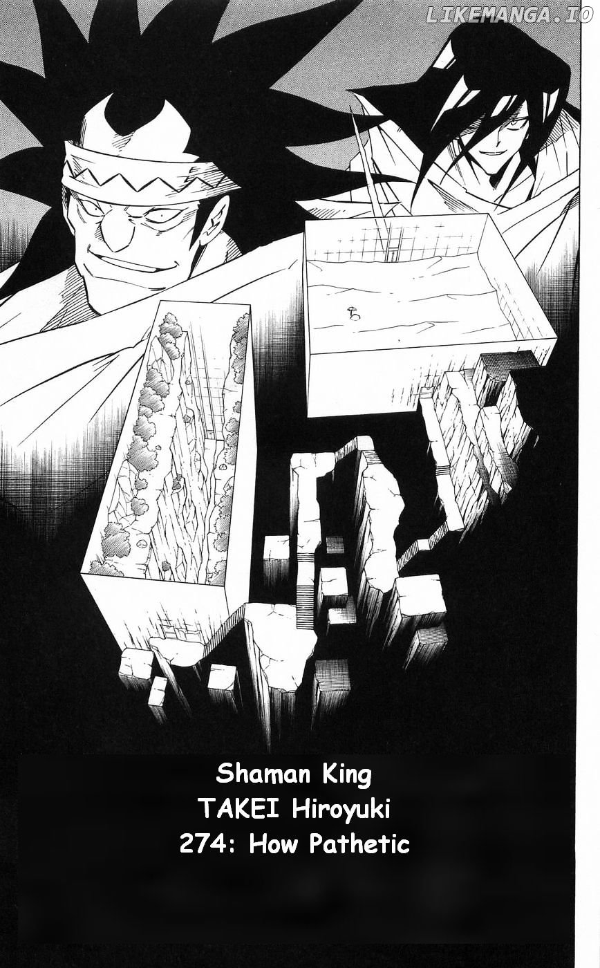 Shaman King Chapter 274 - page 3