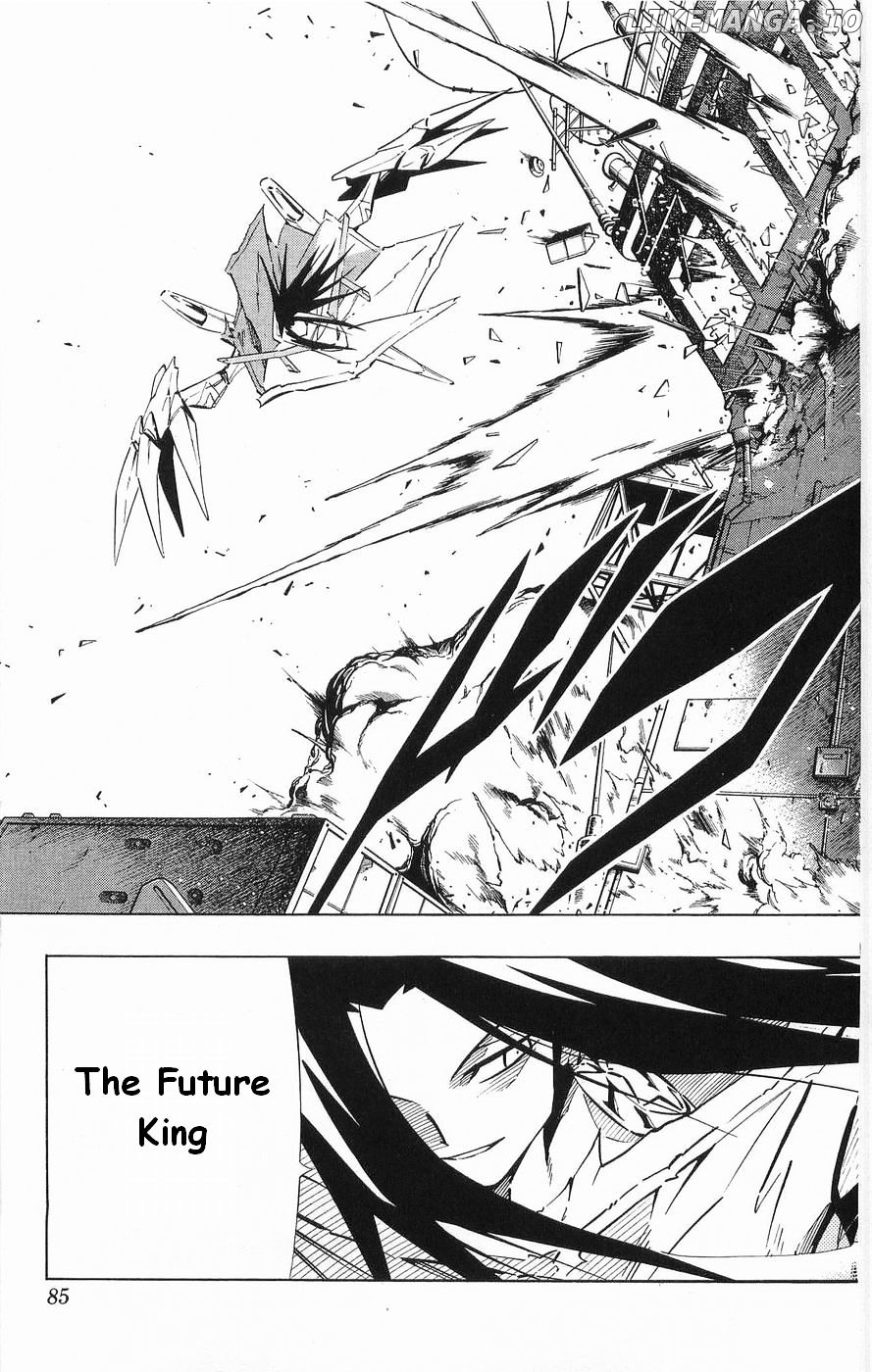 Shaman King Chapter 261 - page 15