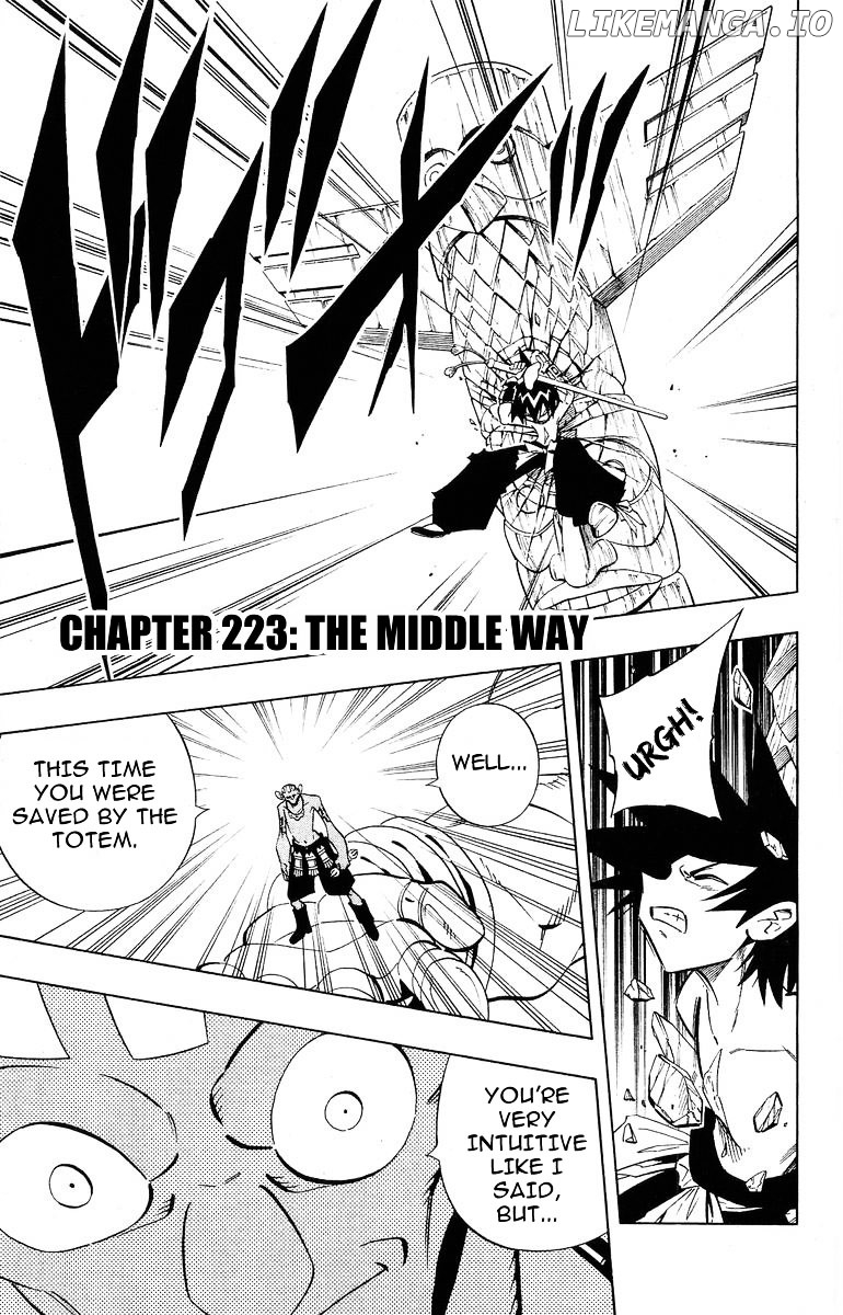 Shaman King Chapter 223 - page 1