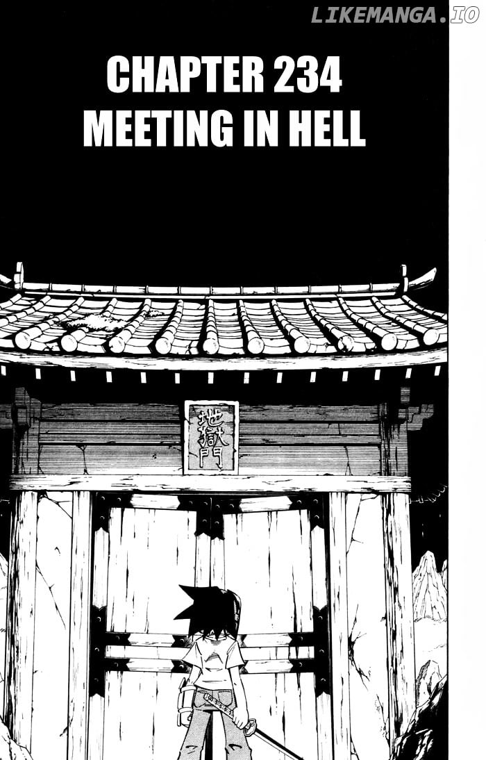 Shaman King Chapter 234 - page 3