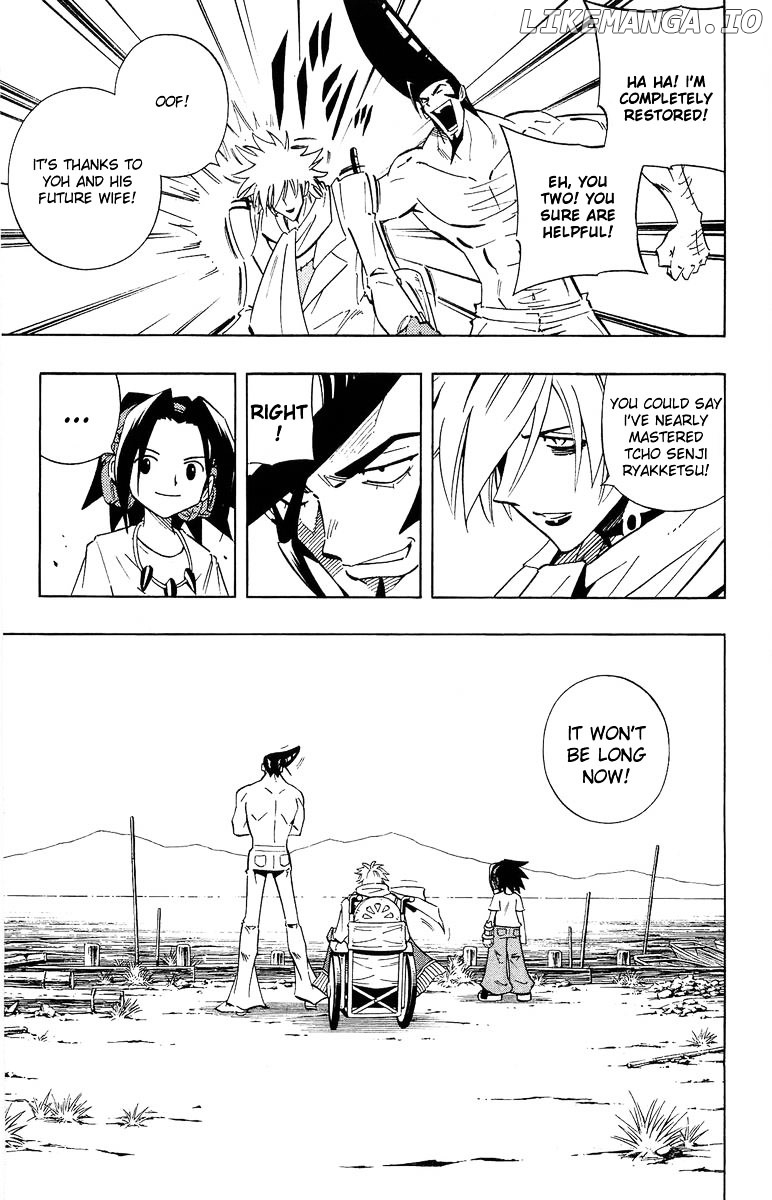 Shaman King Chapter 231 - page 13