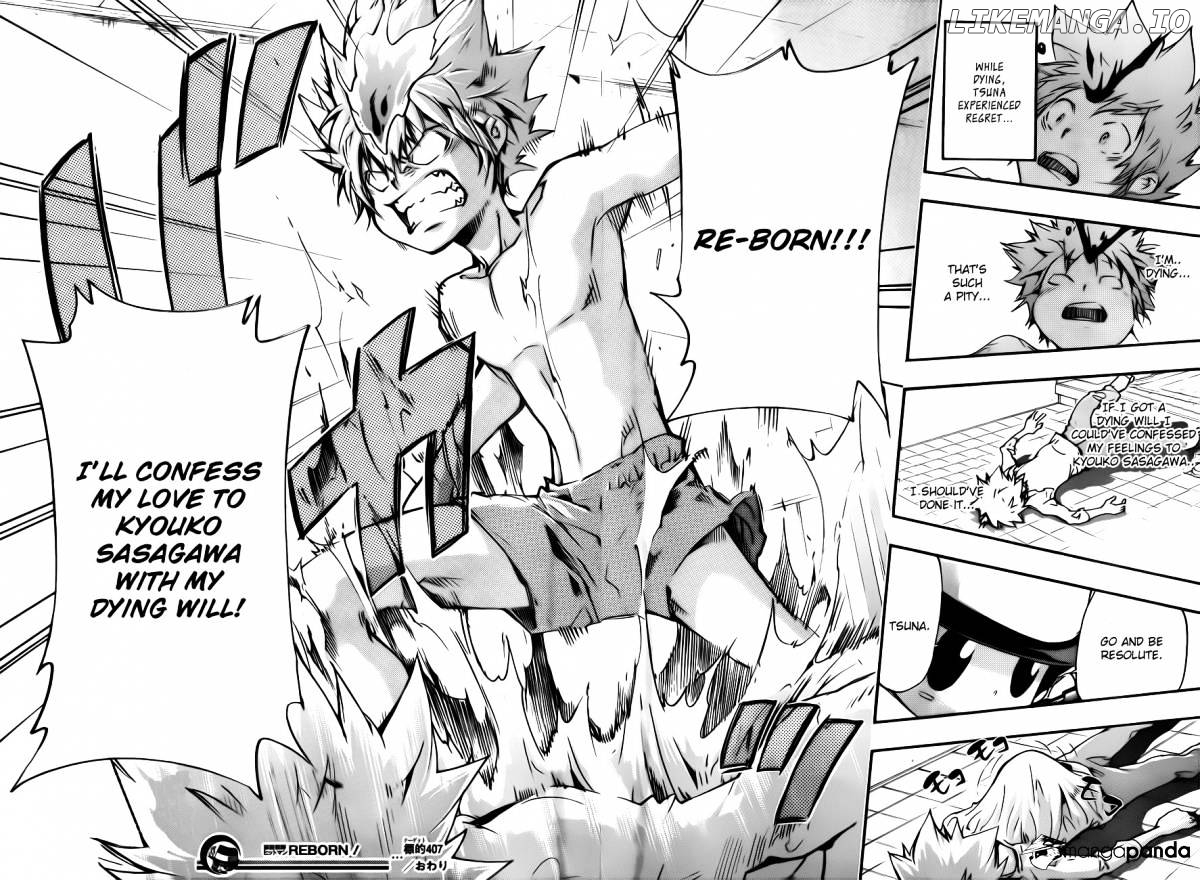 Kateikyoushi Hitman Reborn! chapter 407 - page 17