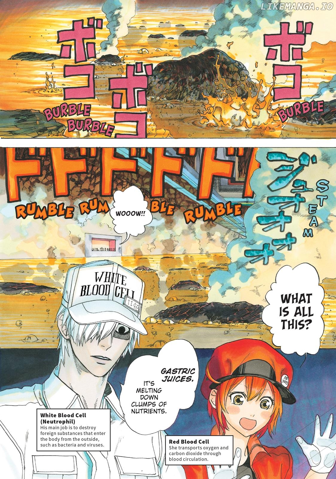 Hataraku Saibou chapter 5 - page 5