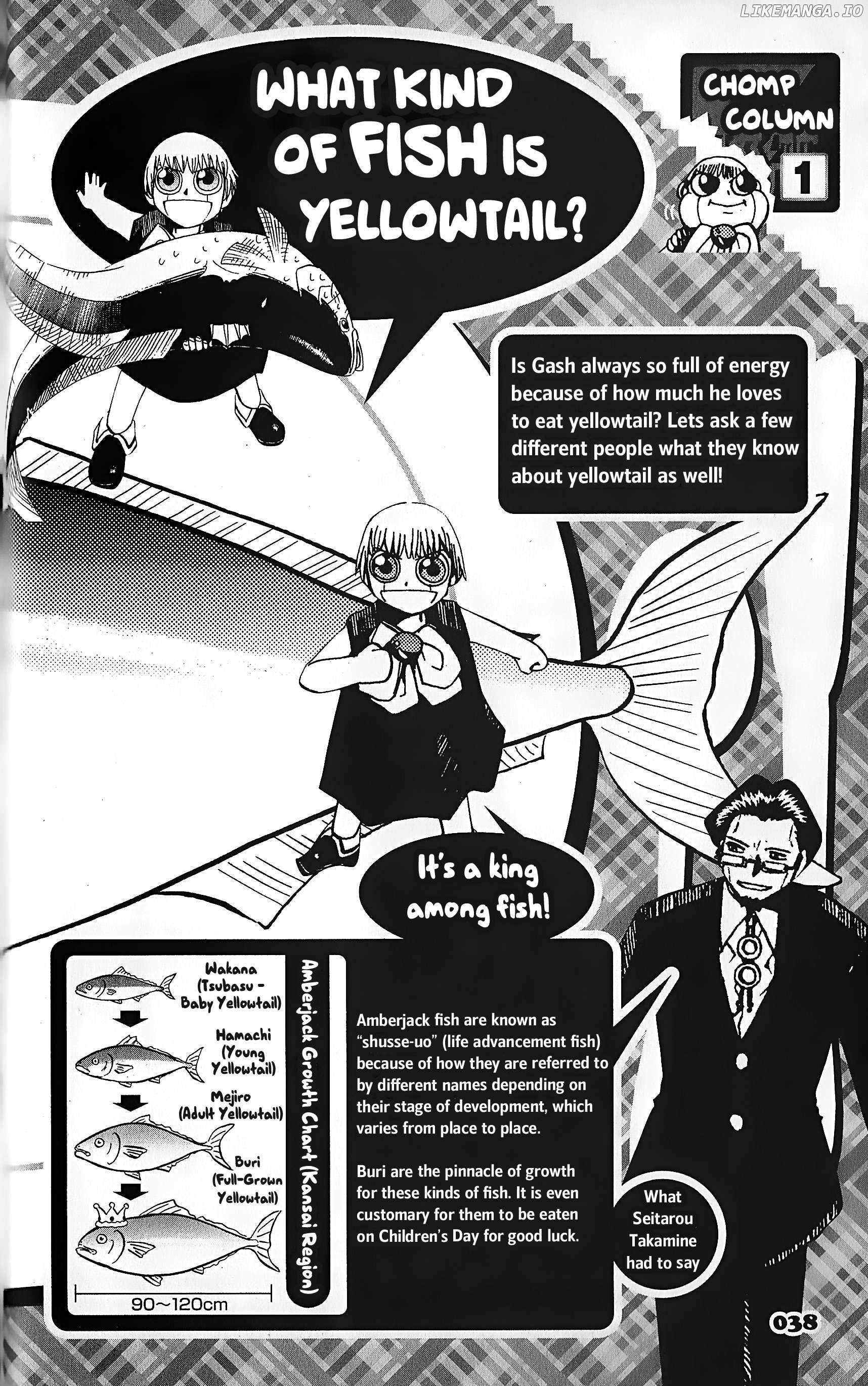 Zatch Bell!! The Full Course Guide Book Chapter 1 - page 38