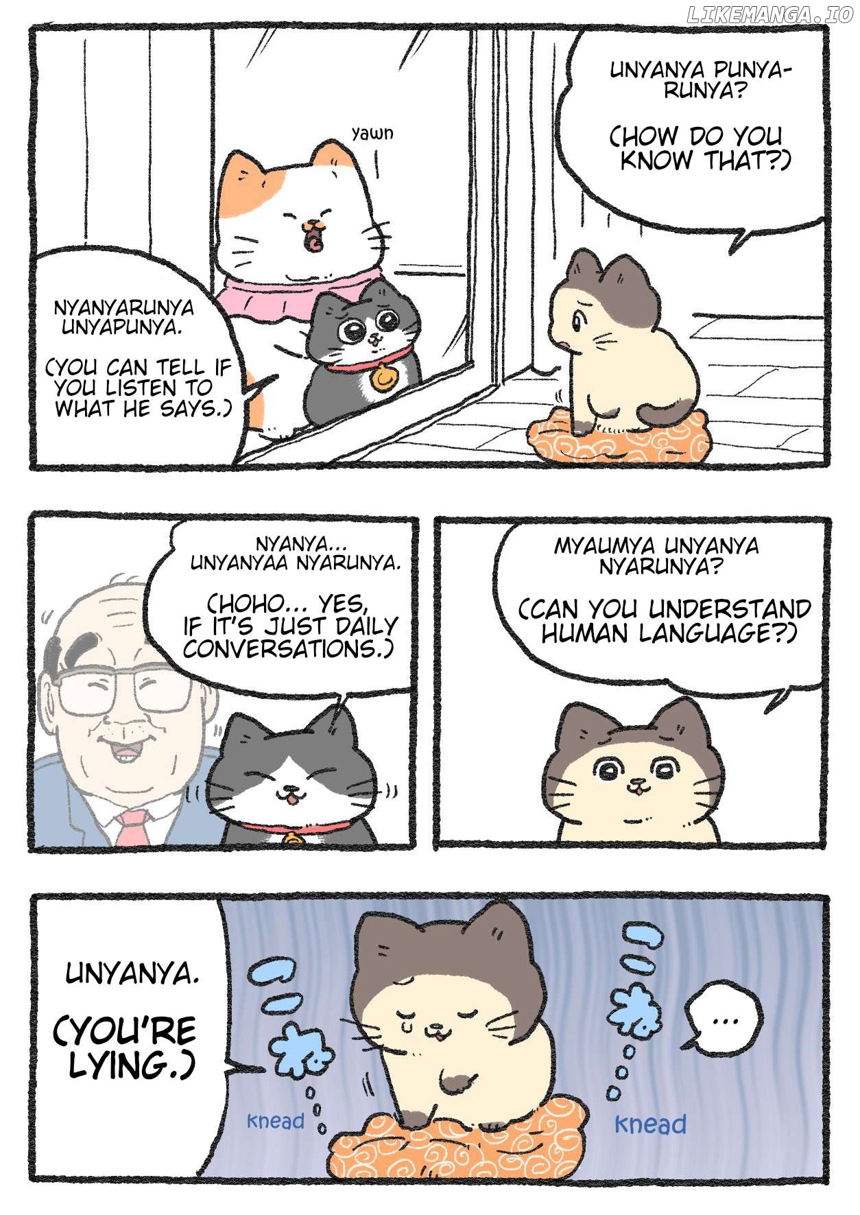 The Old Man Who Was Reincarnated As A Cat Chapter 381 - page 1