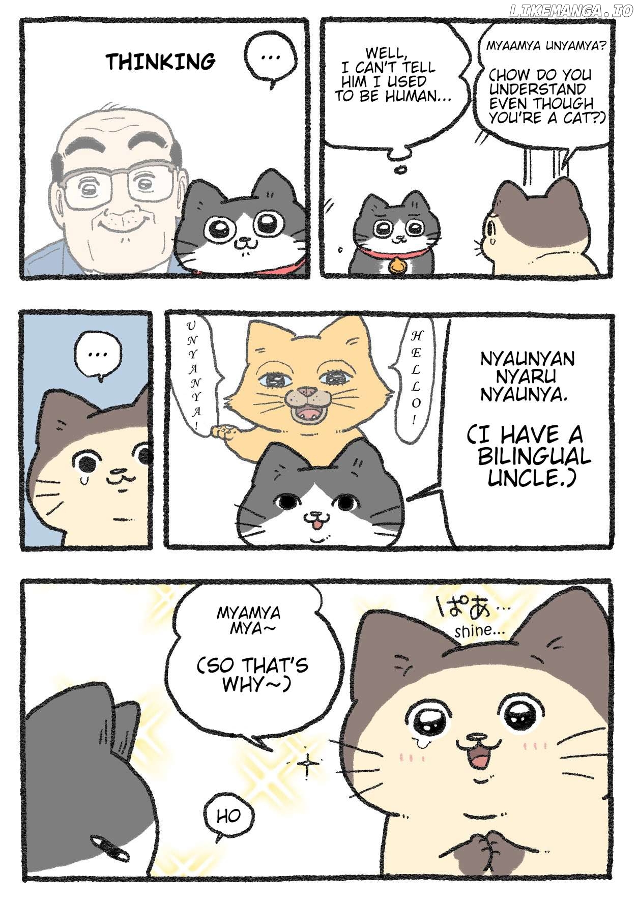 The Old Man Who Was Reincarnated As A Cat Chapter 381 - page 2