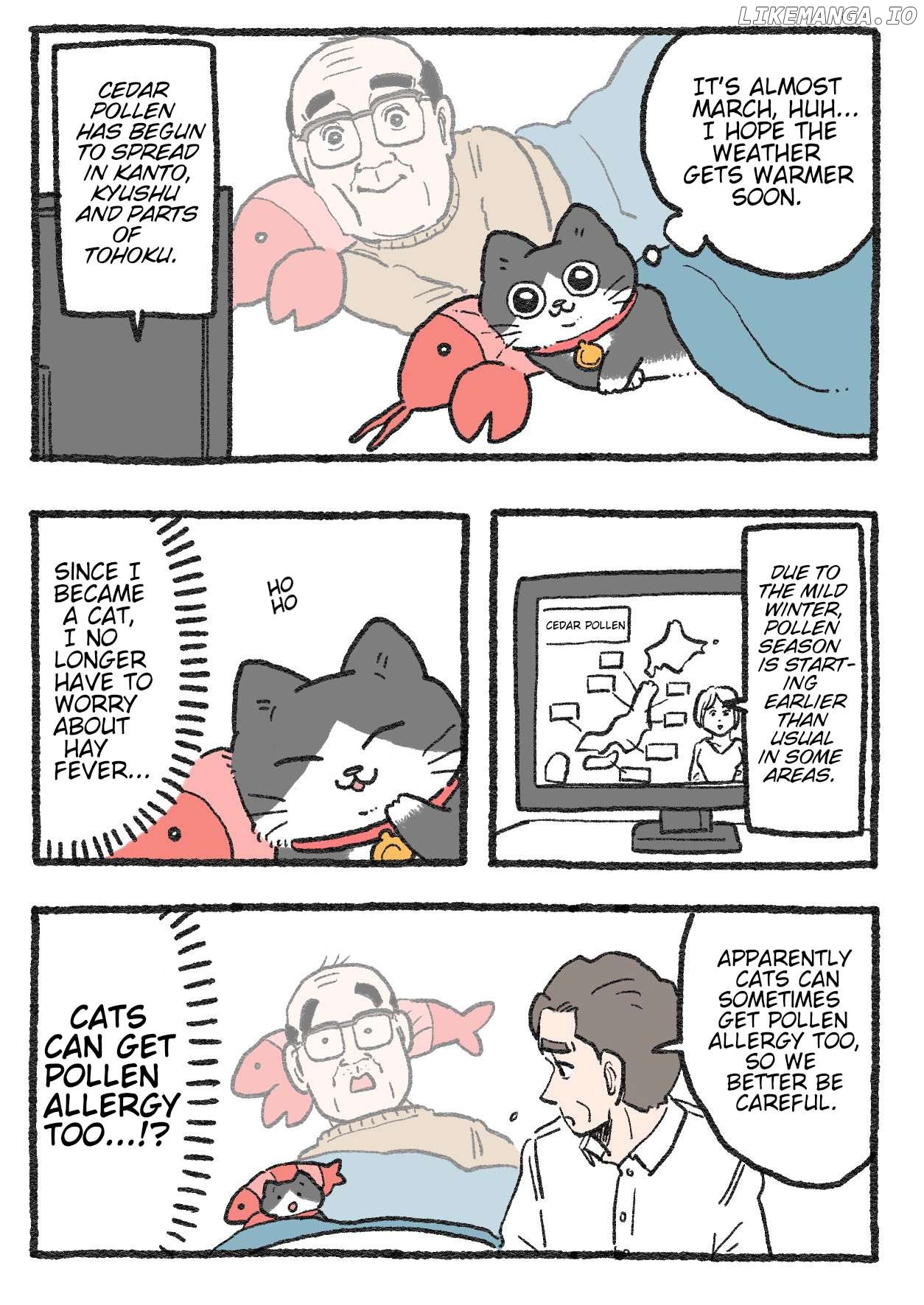 The Old Man Who Was Reincarnated As A Cat Chapter 387 - page 1