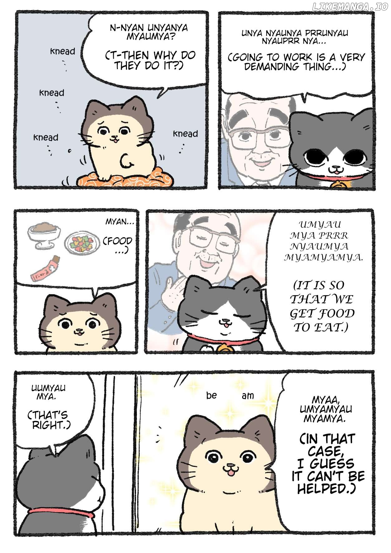 The Old Man Who Was Reincarnated As A Cat Chapter 389 - page 1