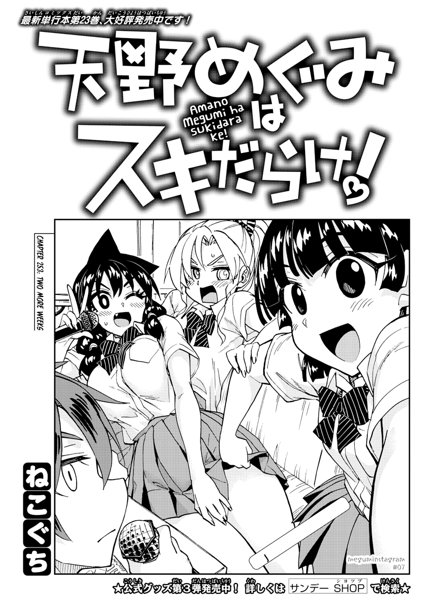 Amano Megumi wa Suki Darake! chapter 253 - page 3