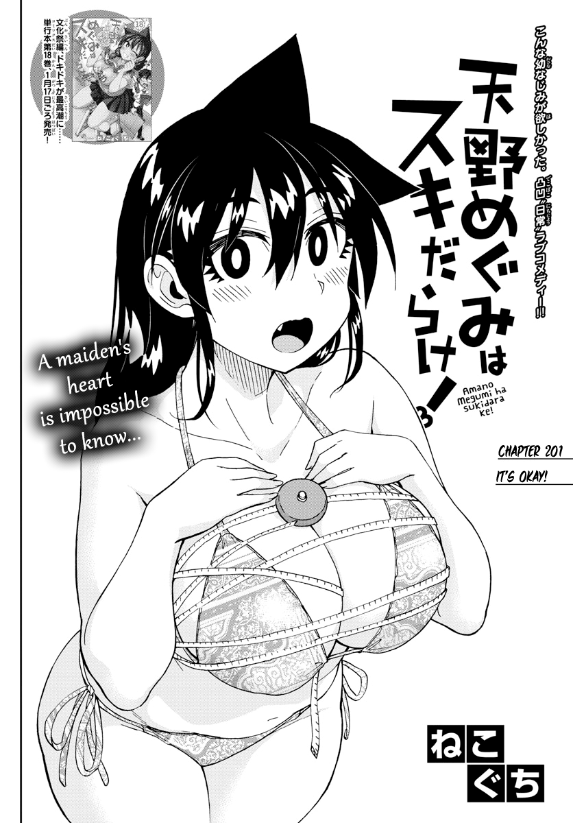 Amano Megumi wa Suki Darake! chapter 201 - page 2