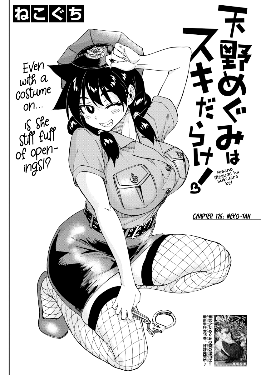 Amano Megumi wa Suki Darake! chapter 175 - page 2