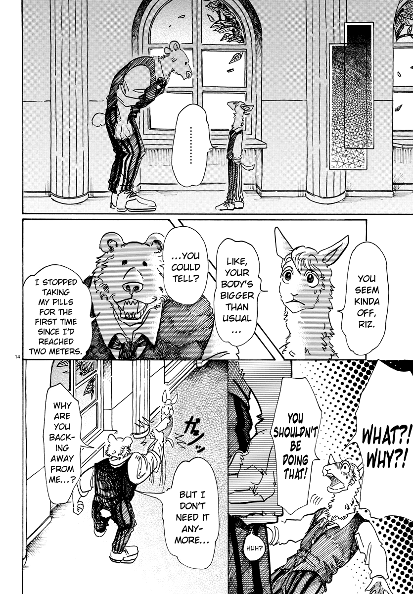 Beastars chapter 77 - page 14