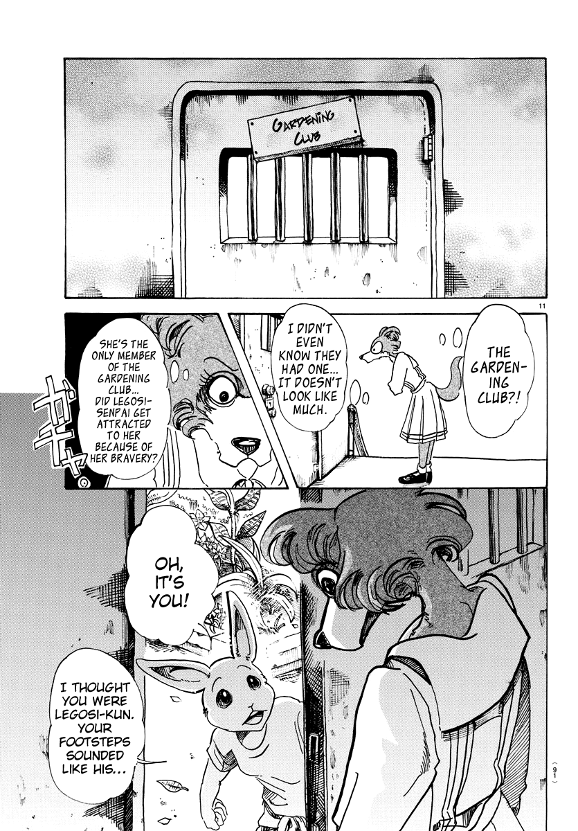 Beastars chapter 79 - page 11