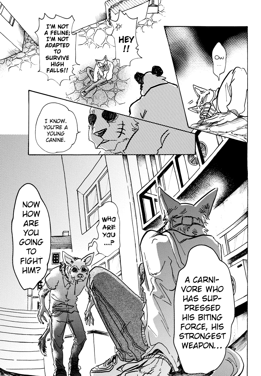 Beastars chapter 68 - page 13