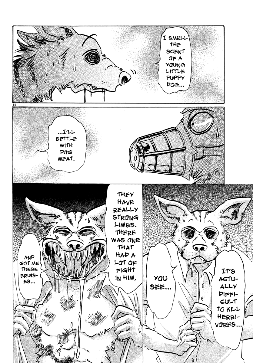 Beastars chapter 68 - page 14