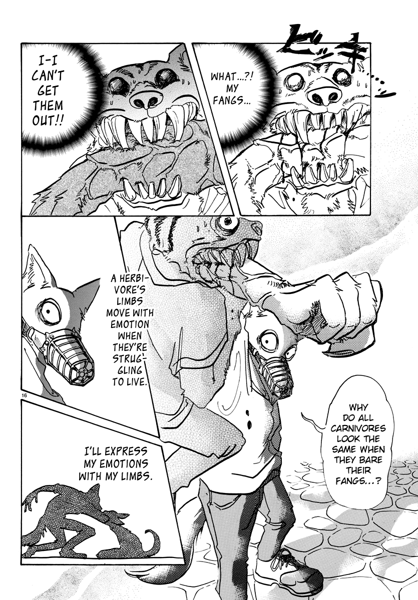 Beastars chapter 68 - page 16