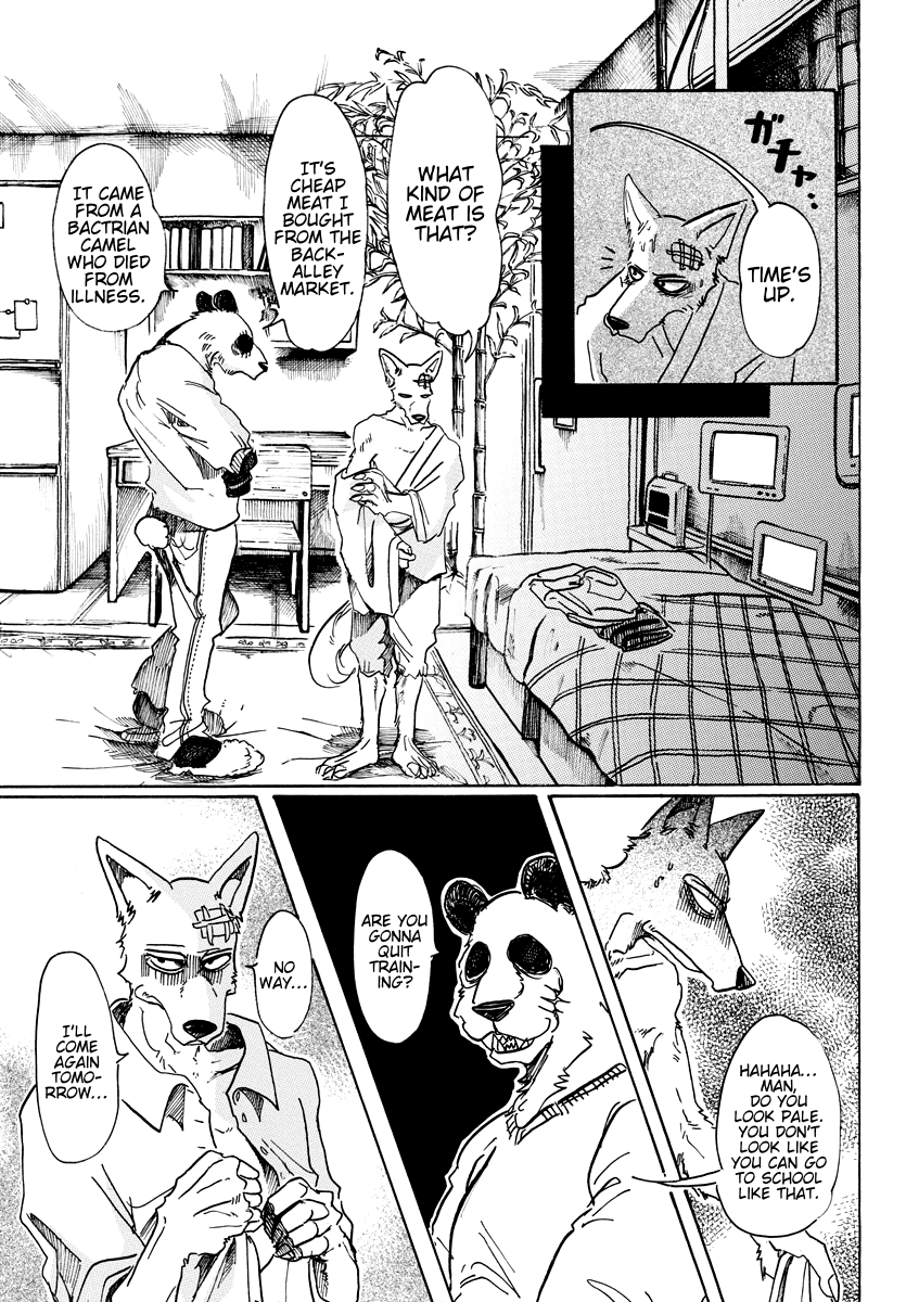 Beastars chapter 63 - page 9