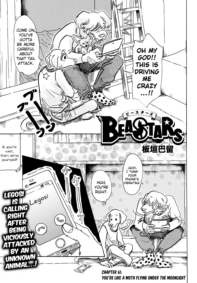 Beastars chapter 61 - page 1