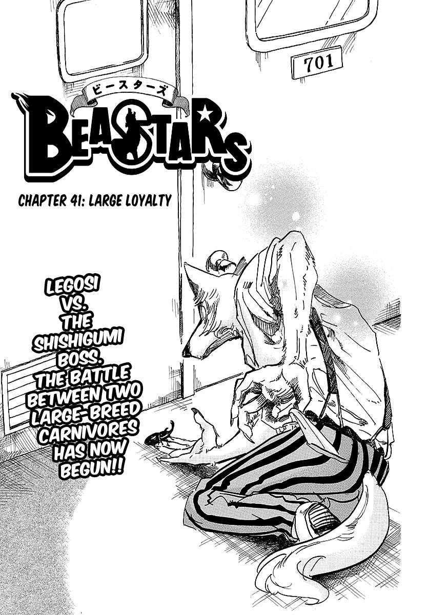 Beastars chapter 41 - page 1