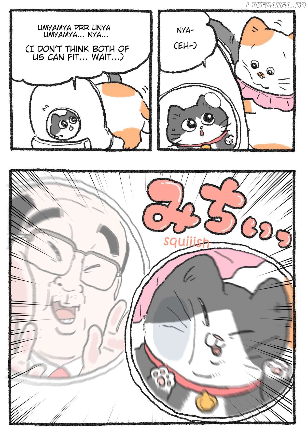 The Old Man Who Was Reincarnated As A Cat Chapter 412 - page 2