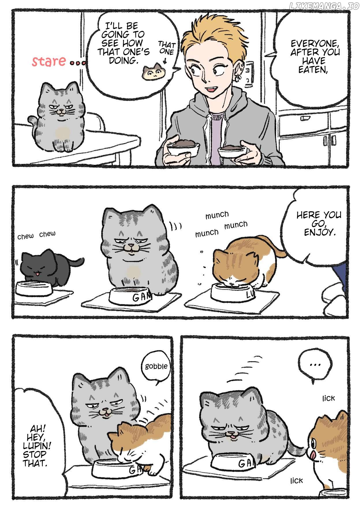 The Old Man Who Was Reincarnated As A Cat Chapter 415 - page 1