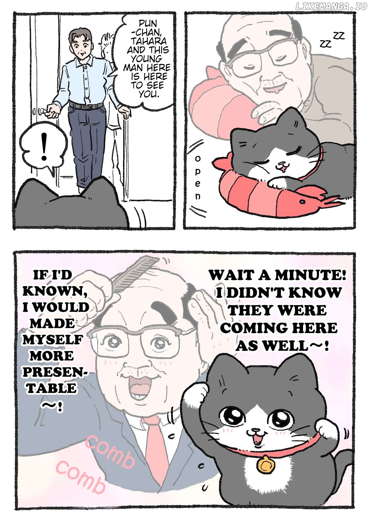 The Old Man Who Was Reincarnated As A Cat Chapter 417 - page 2