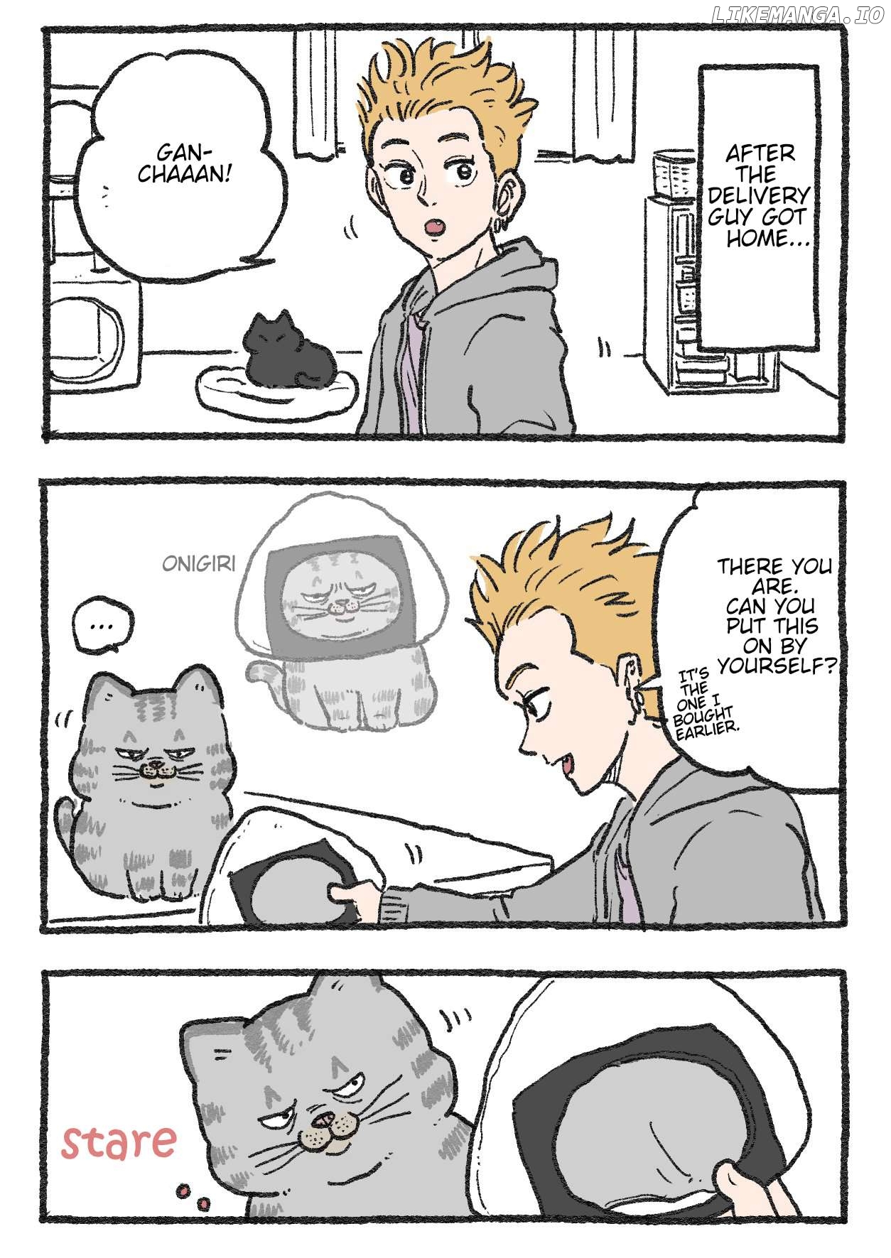 The Old Man Who Was Reincarnated As A Cat Chapter 421 - page 1