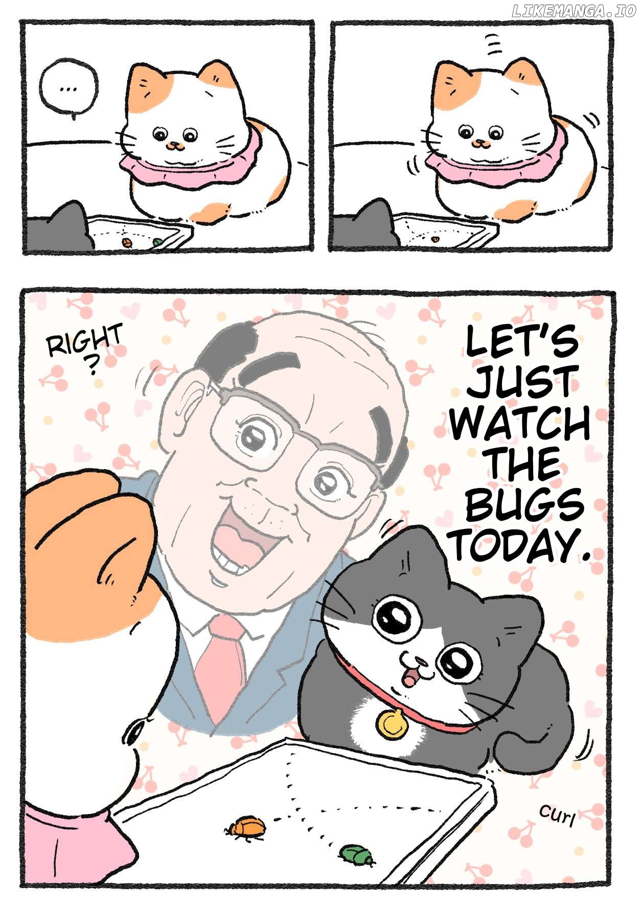 The Old Man Who Was Reincarnated As A Cat Chapter 424 - page 2