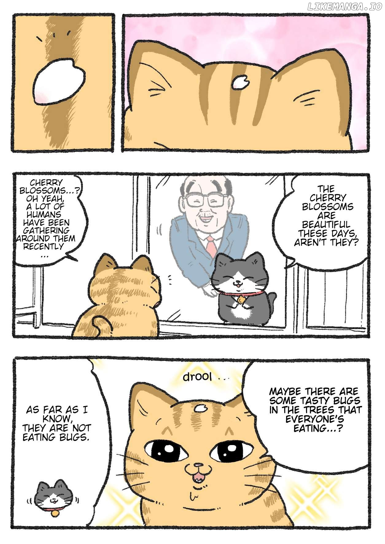 The Old Man Who Was Reincarnated As A Cat Chapter 430 - page 2