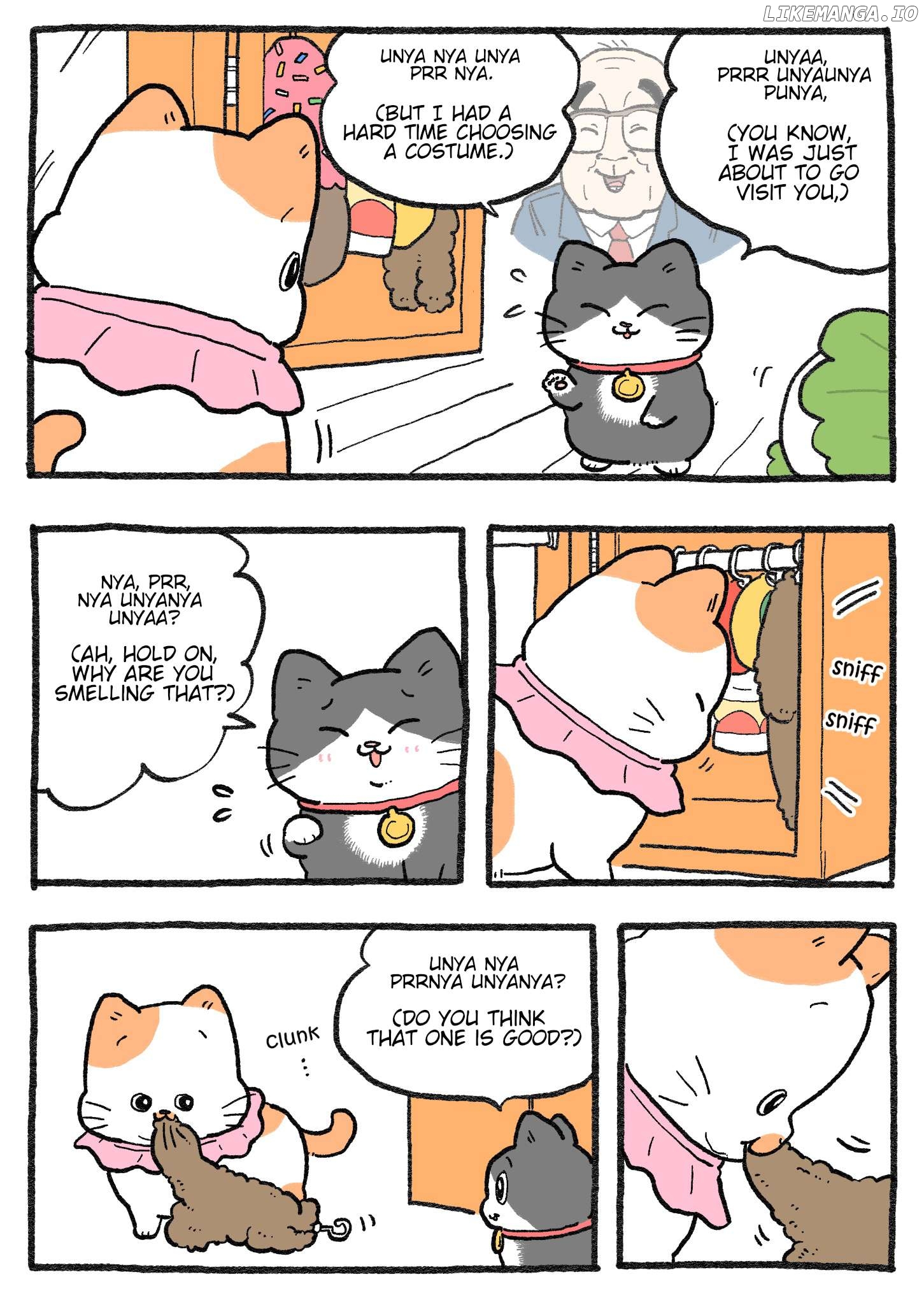 The Old Man Who Was Reincarnated As A Cat Chapter 455 - page 1