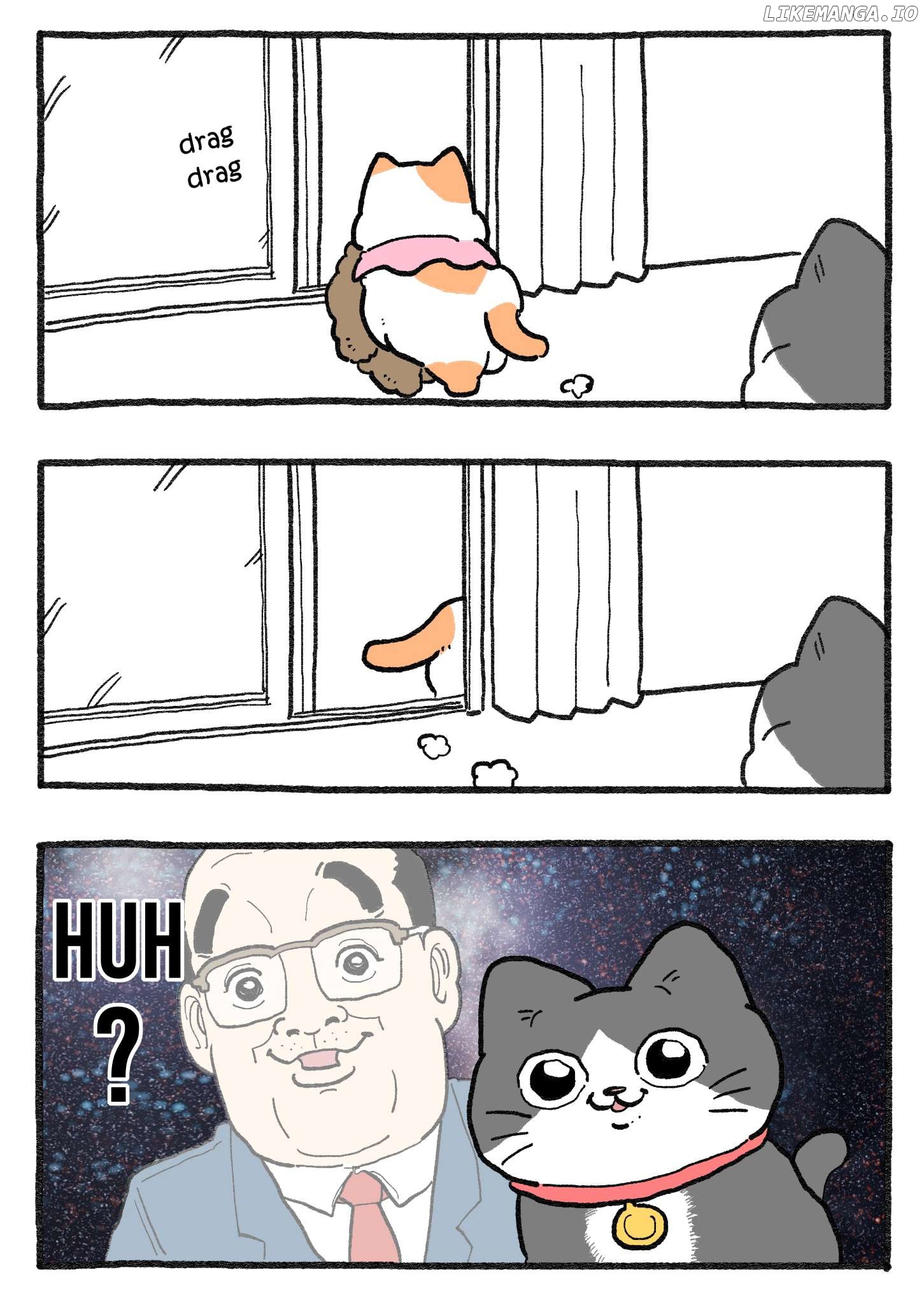 The Old Man Who Was Reincarnated As A Cat Chapter 455 - page 2