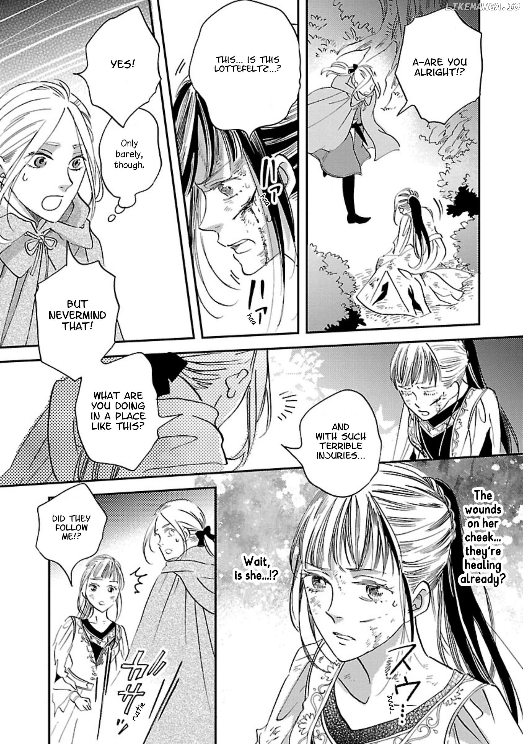 Eila to Totsukuni no Ou Chapter 8 - page 25