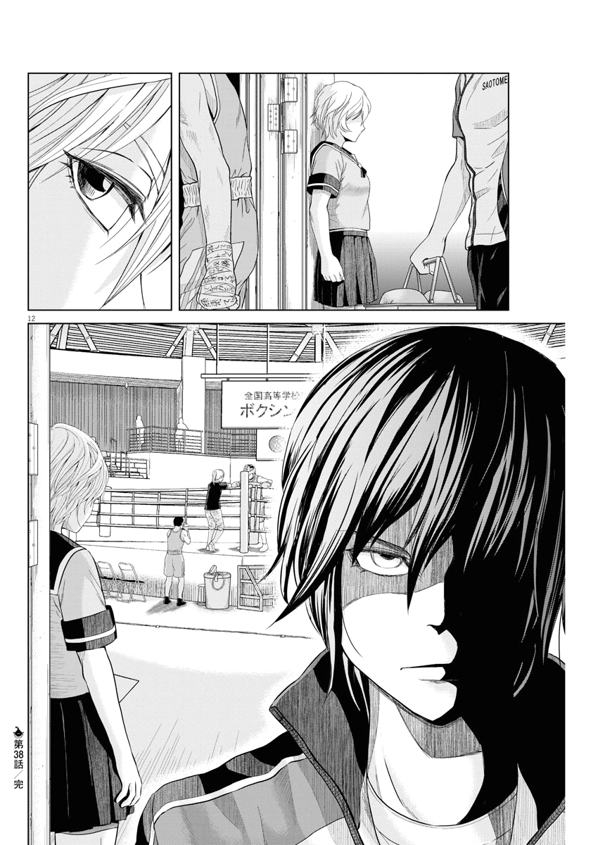 Saotome Girl, Hitakakusu chapter 38 - page 12