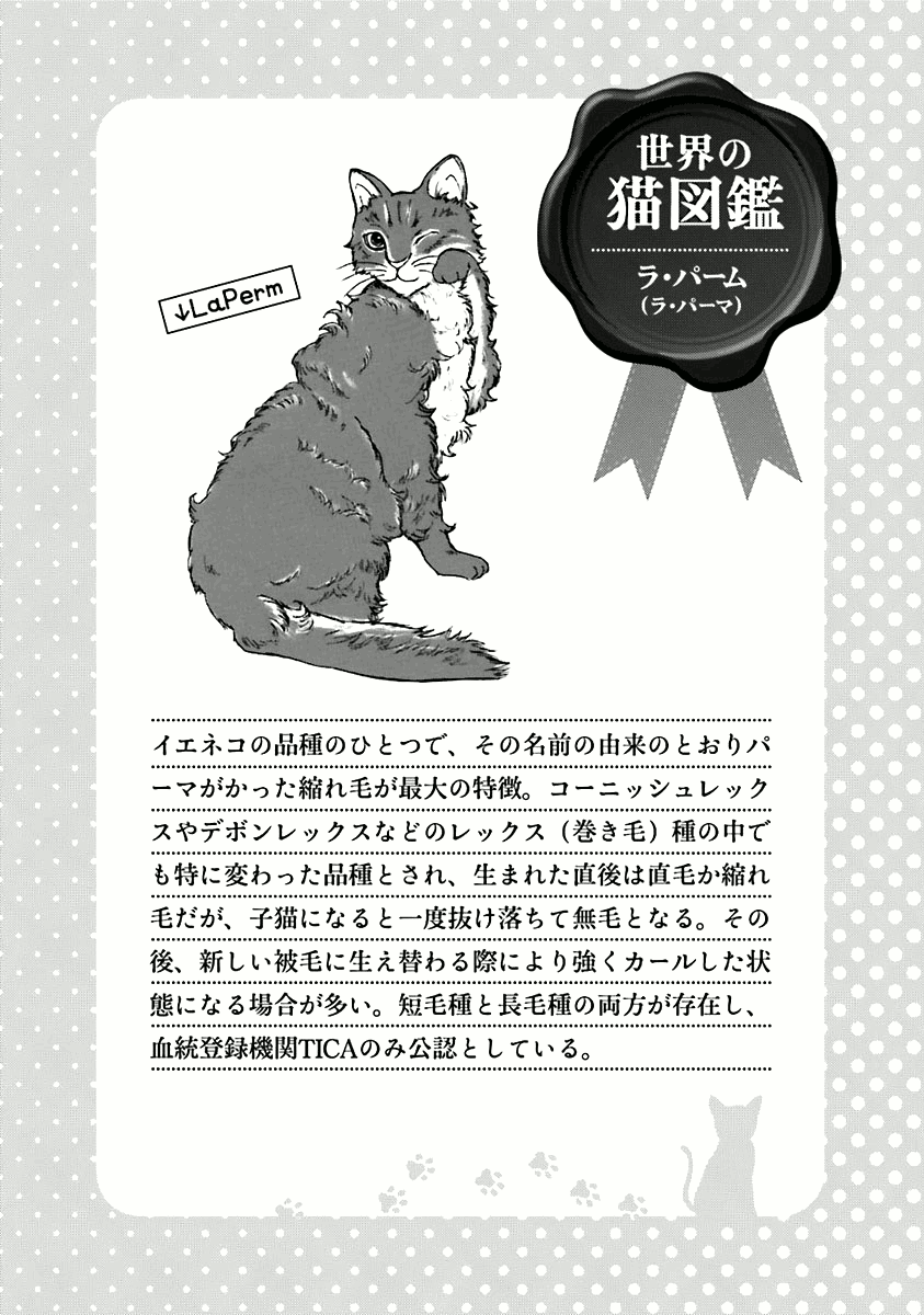 Hentai Ouji To Warawanai Neko. Nya! chapter 31 - page 24