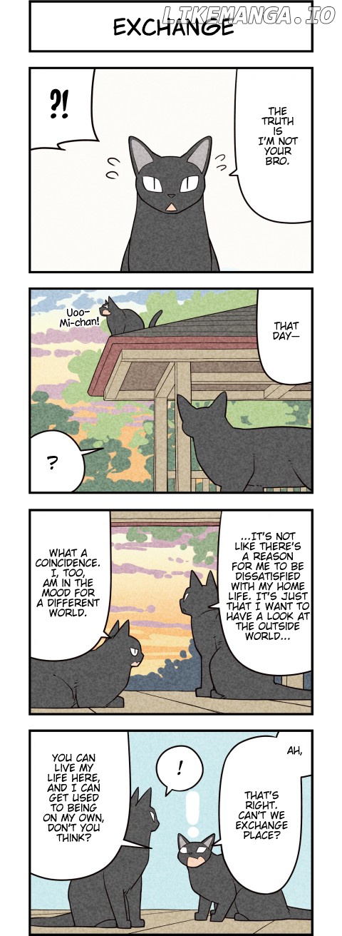 We are Cats chapter 57 - page 2