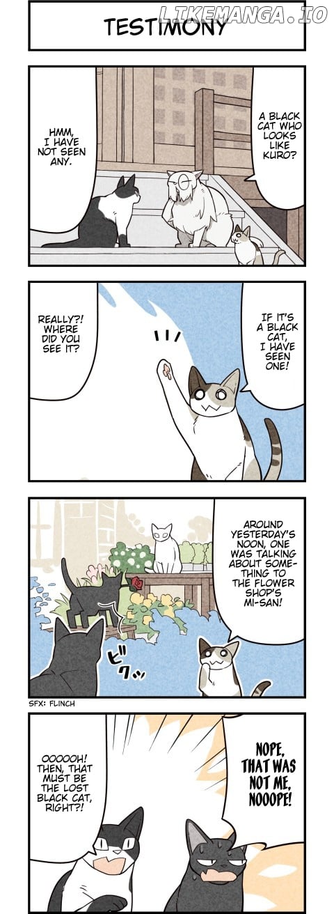 We are Cats chapter 56 - page 2