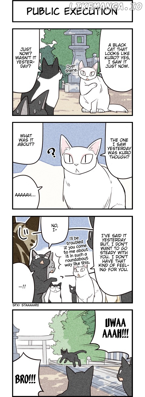 We are Cats chapter 56 - page 3