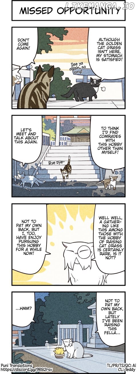 We are Cats chapter 63 - page 4