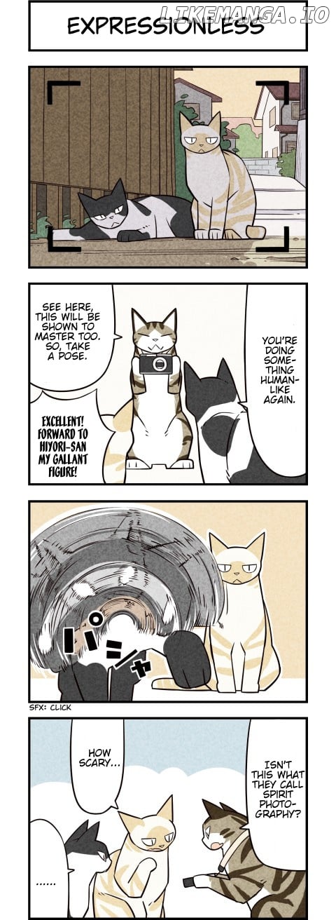 We are Cats chapter 32 - page 2