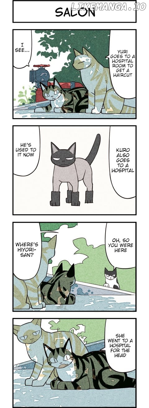 We are Cats chapter 29 - page 3