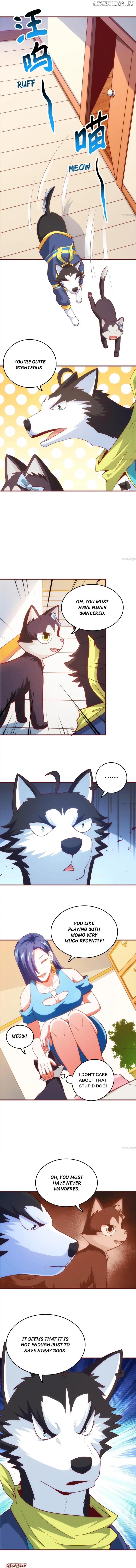 Reborn To Be A Huskie chapter 28 - page 4