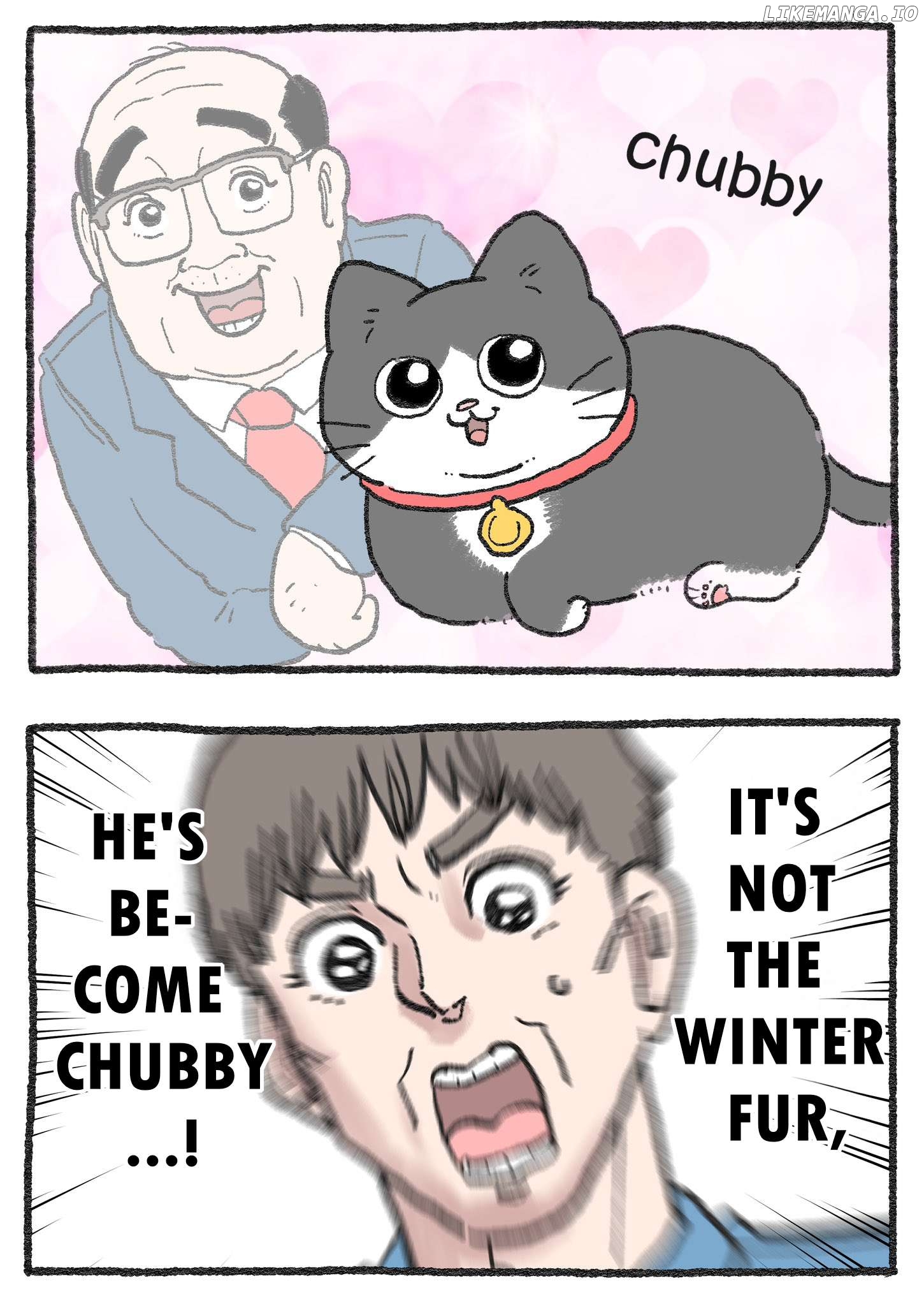 The Old Man Who Was Reincarnated As A Cat Chapter 467 - page 2