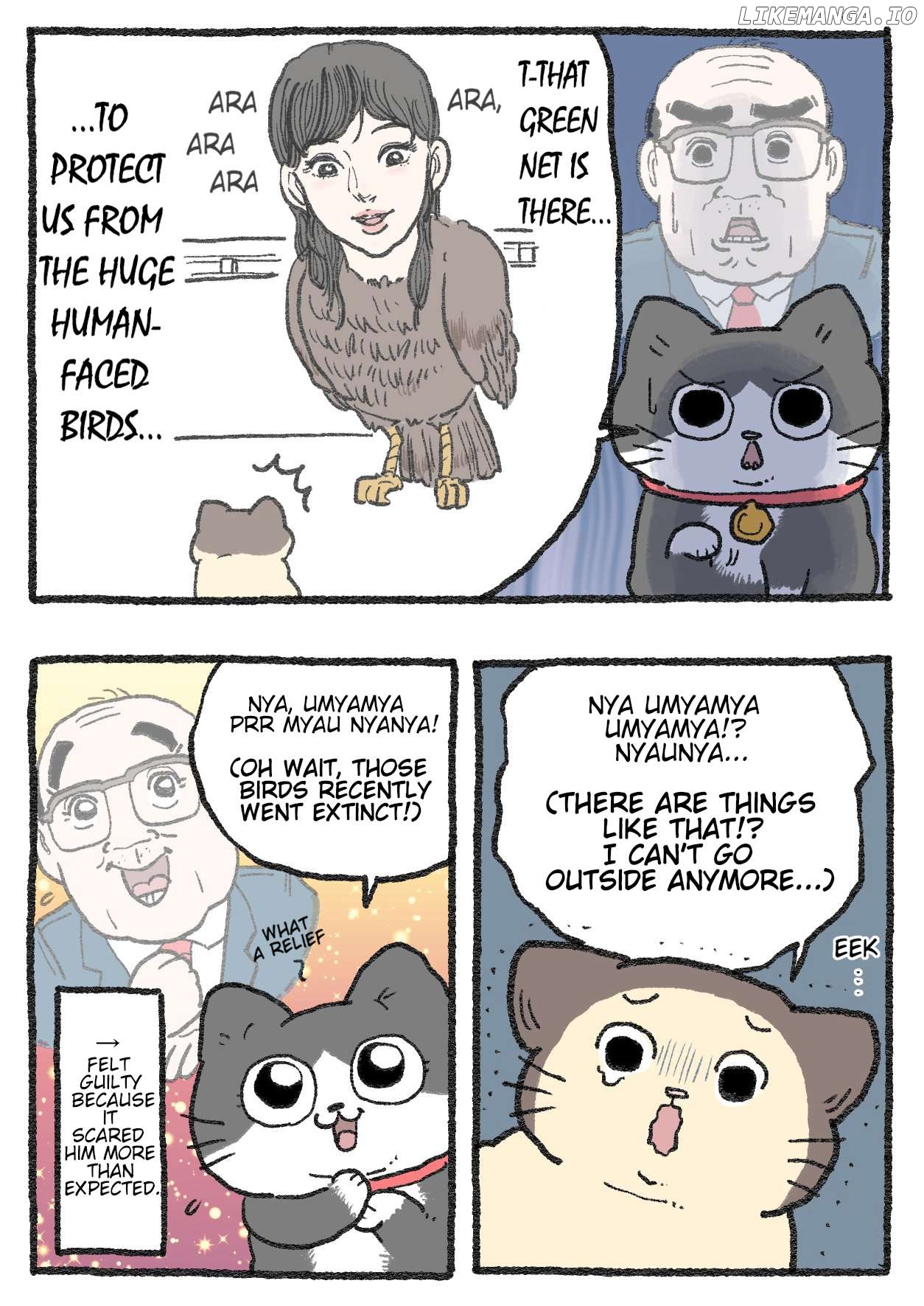 The Old Man Who Was Reincarnated As A Cat Chapter 482 - page 2