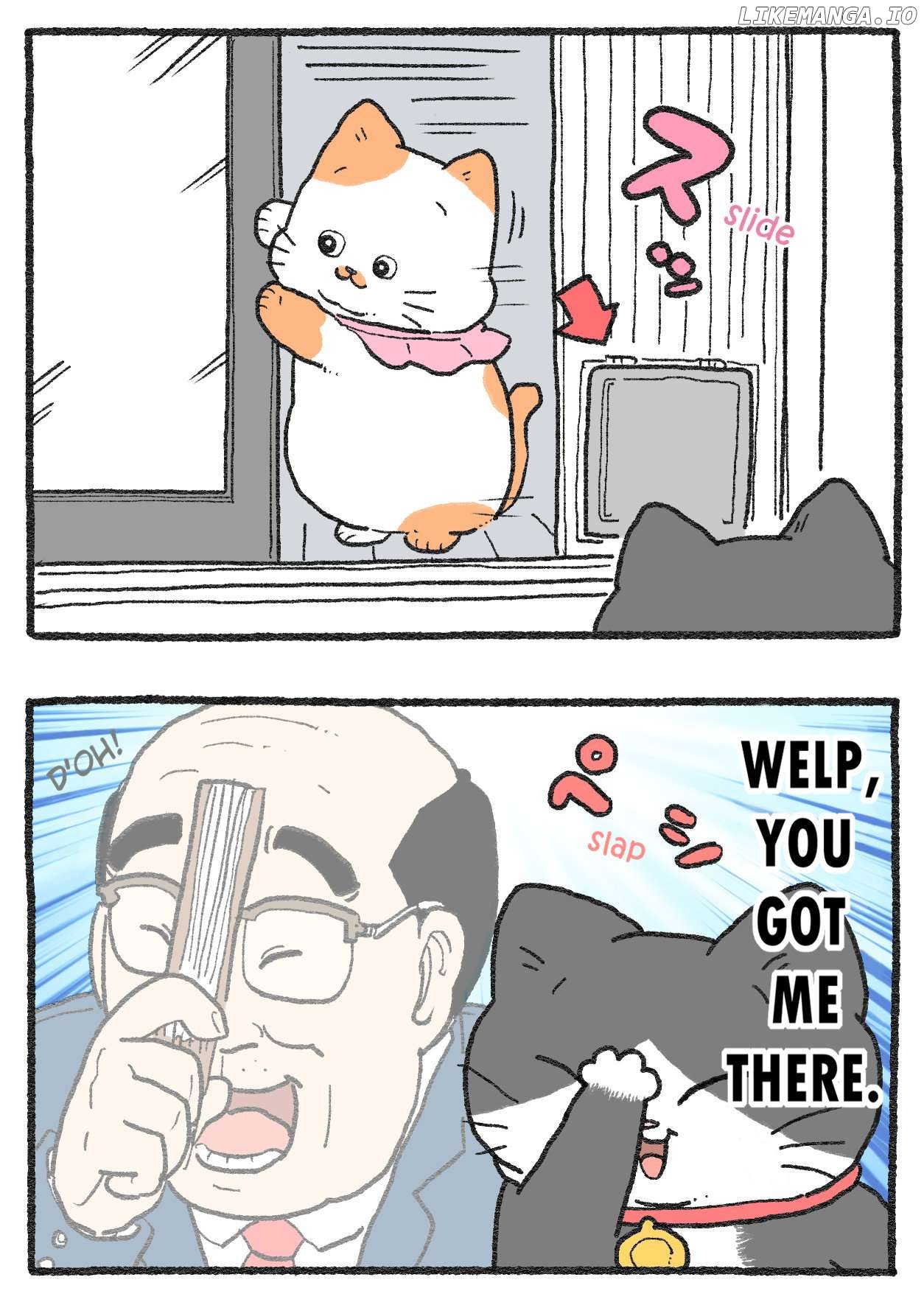 The Old Man Who Was Reincarnated As A Cat Chapter 484 - page 2