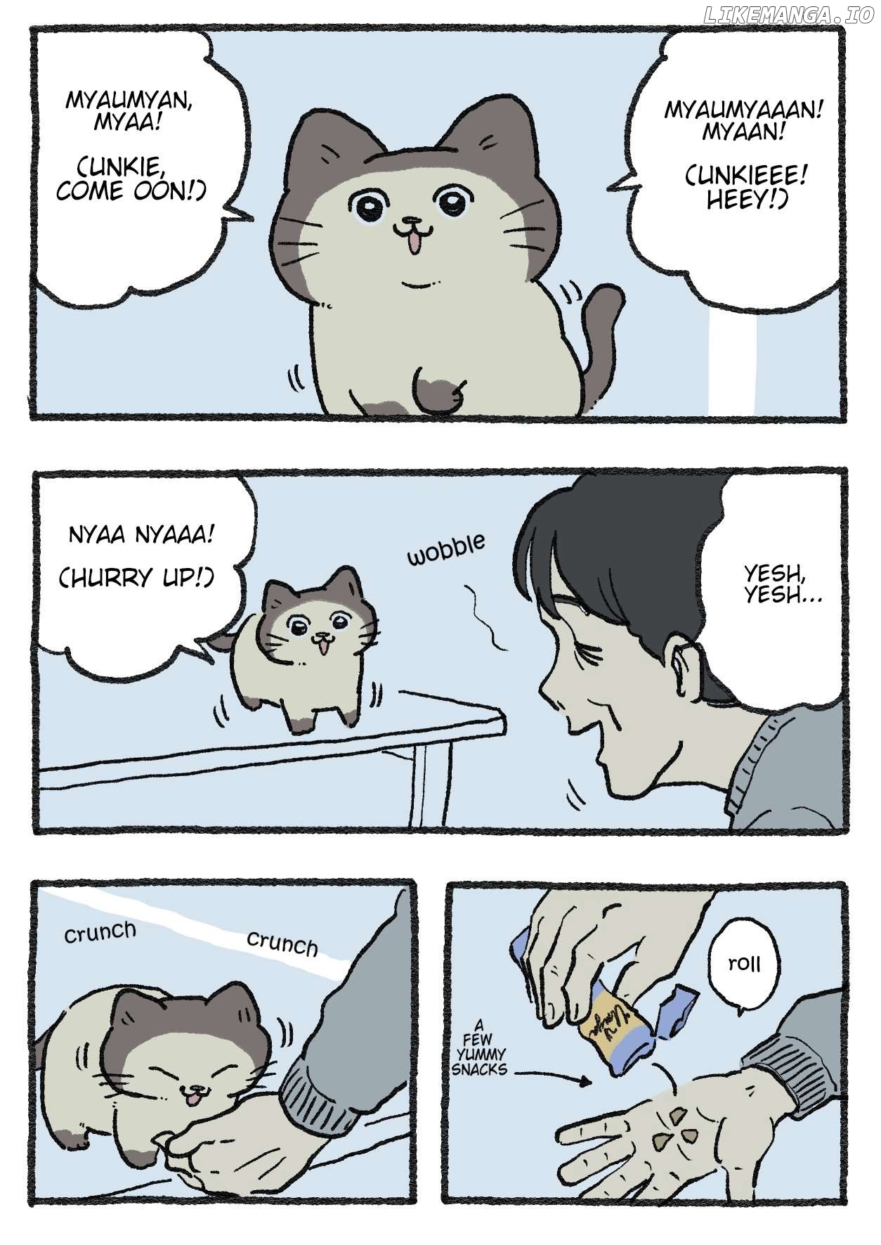 The Old Man Who Was Reincarnated As A Cat Chapter 487 - page 1