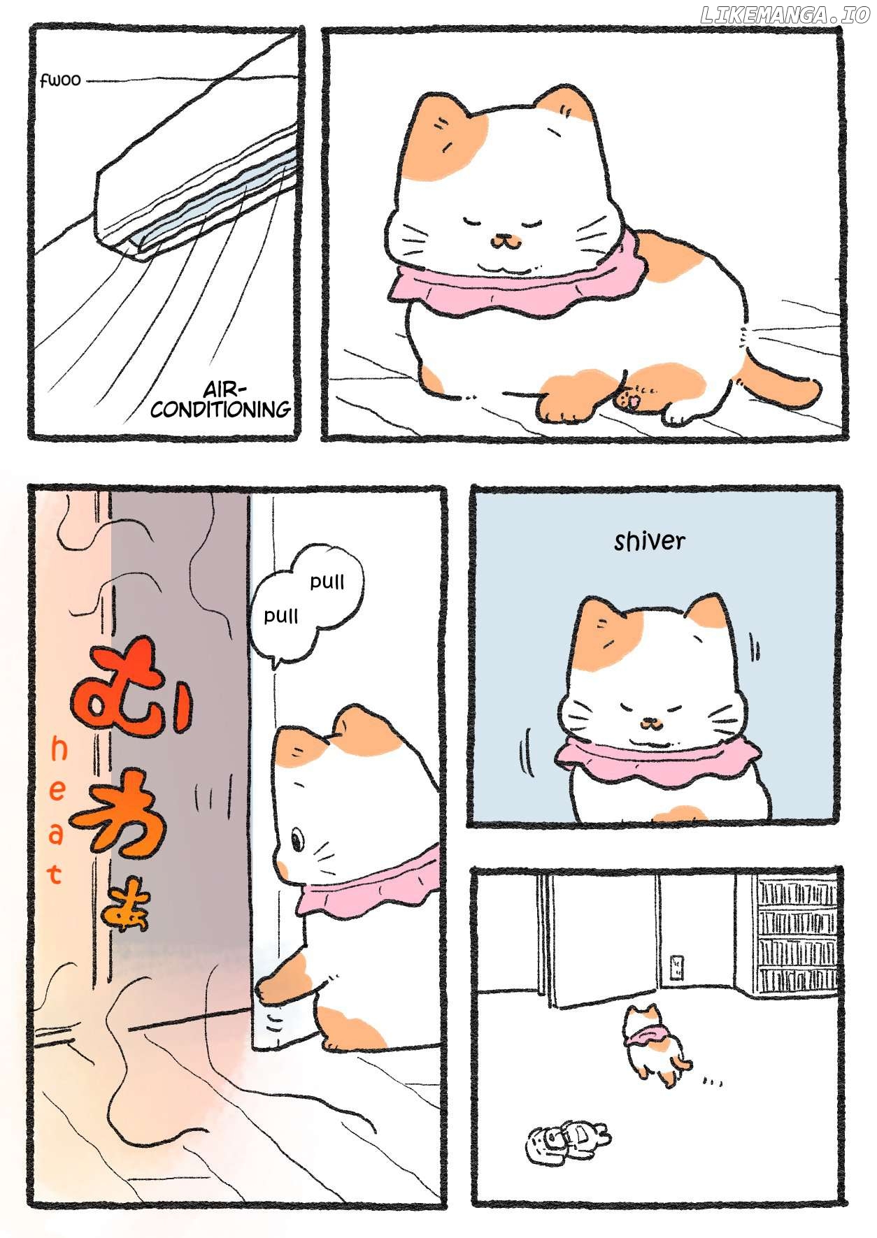 The Old Man Who Was Reincarnated As A Cat Chapter 498 - page 1