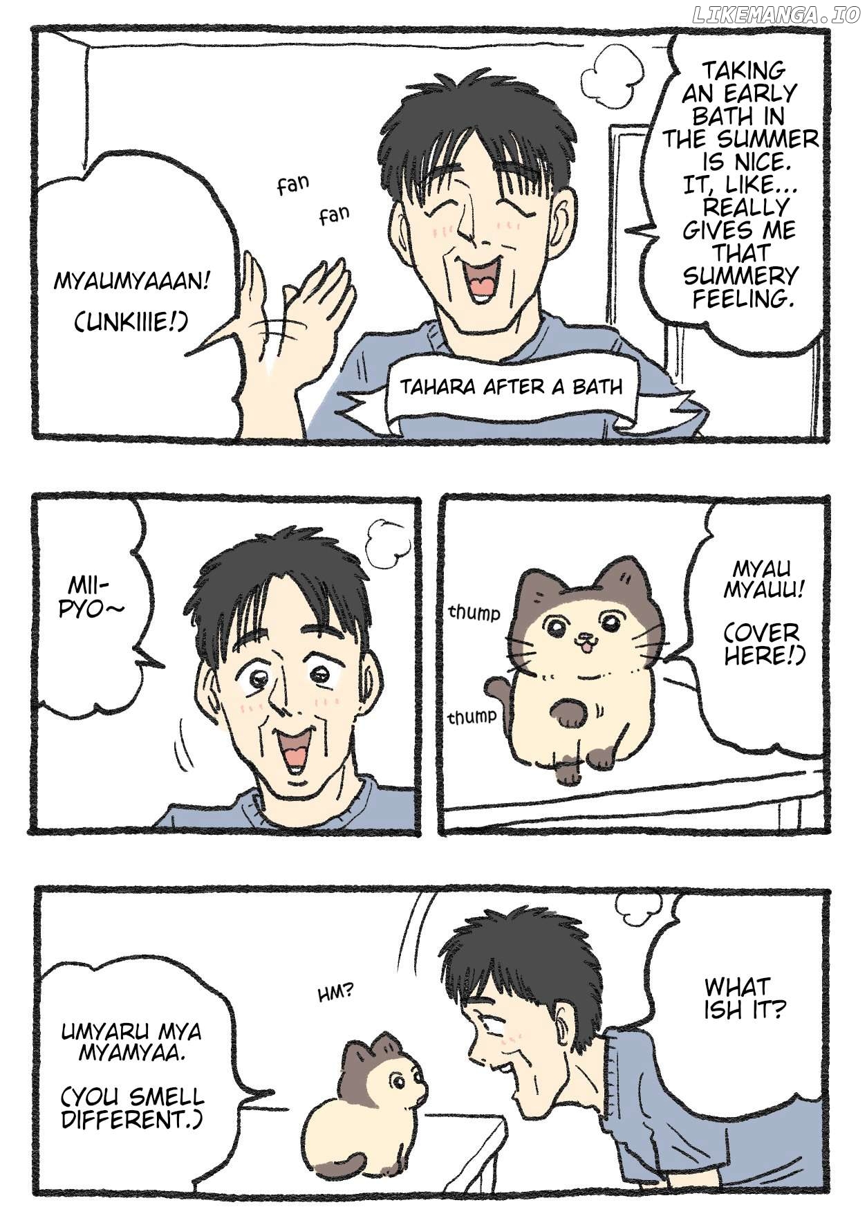 The Old Man Who Was Reincarnated As A Cat Chapter 512 - page 1