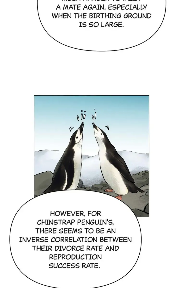 The Summer of Penguins Chapter 11 - page 40