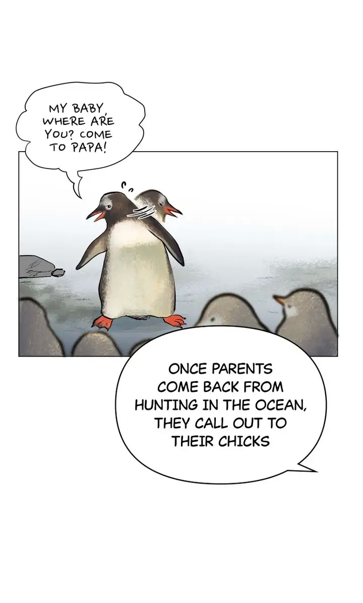 The Summer of Penguins Chapter 12 - page 5