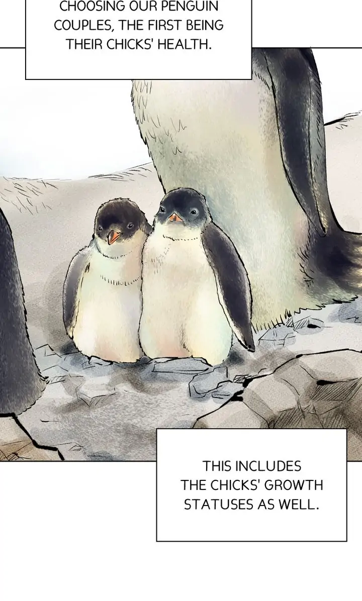 The Summer of Penguins Chapter 2 - page 54